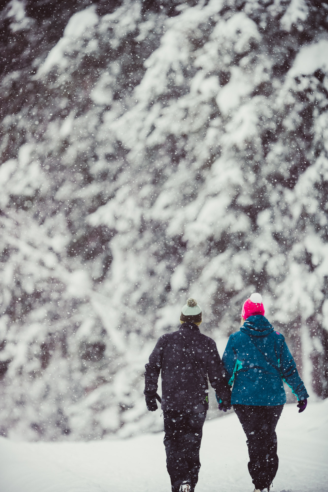 Export x3 1DX28954 Verlobungsfotoshooting 2018 Anna & Dominik 2